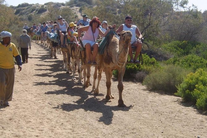 Camel Riding in Maspalomas Dunes - Two-seat saddles and what the ride feels like in real life