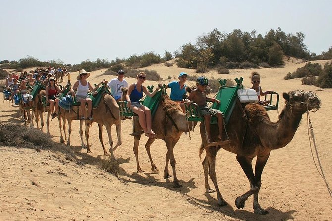 Camel Riding in Maspalomas Dunes - Price and value around $21.63, what you are really paying for