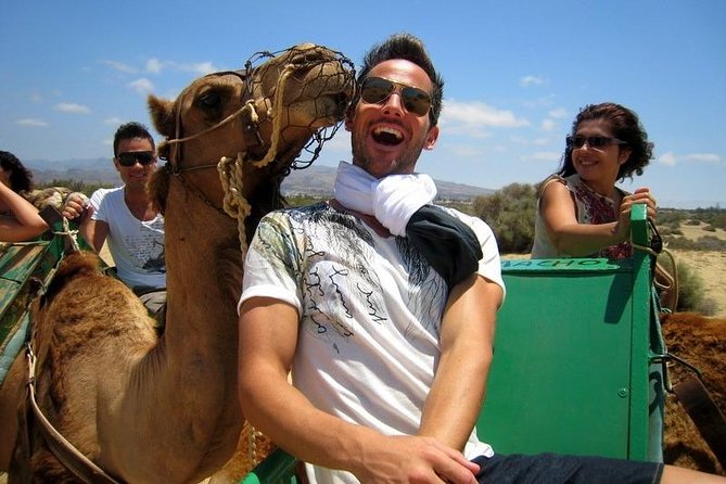 Camel riding in the dunes of Maspalomas - Quick hit: what you should care about