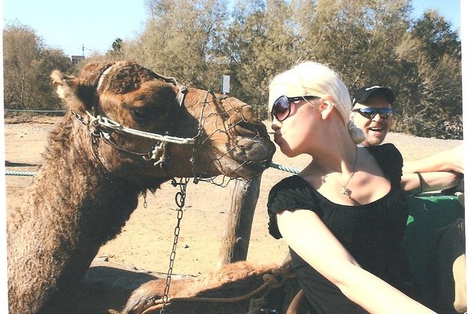 Camel Safari through the Dunes of Maspalomas - Key Takeaways Before You Go