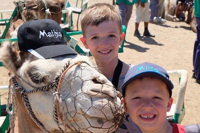Camel Safari through the Dunes of Maspalomas - Who This Camel Safari Is Best For (and Who Might Skip It)