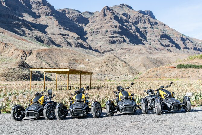 Can-am Ryker three wheels tricycle Mountain Tour (Maspalomas) - Finca Canarias Aloe Vera: why aloe matters in the Canaries