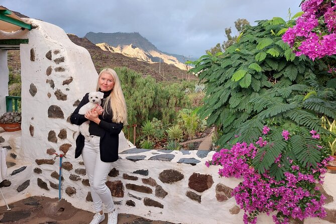 Canarian farmhouse in Mogan, mango farm and vermouth factory - Price, timing, and where to fit it into your Mogán day