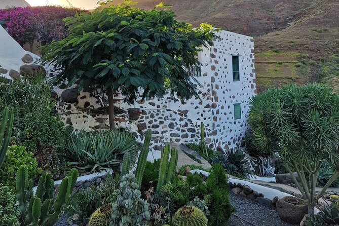 Canarian farmhouse in Mogan, mango farm and vermouth factory - Should you book the Mogán mango farm and Lolito vermouth tour?