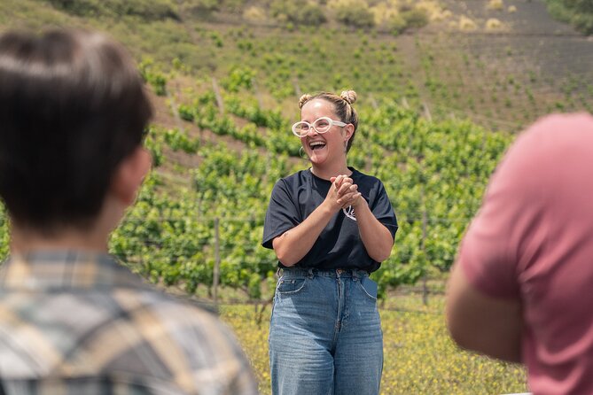 Canarian Wine Experience at Bodega los Lirios - A family vineyard above Sta Brígida, close to Bandama