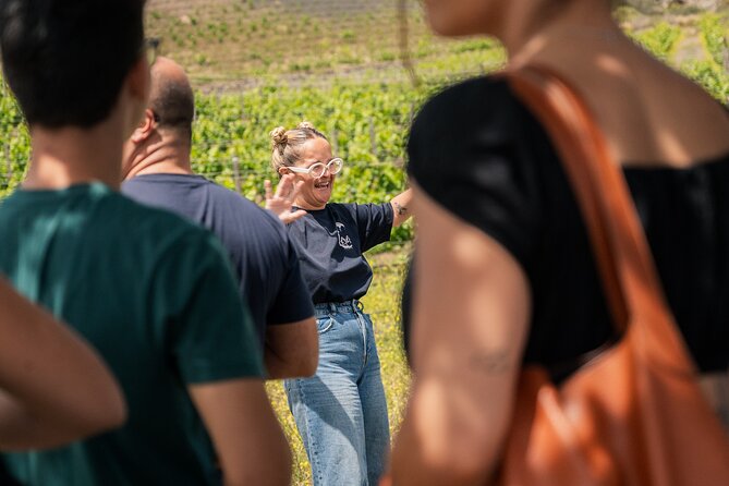 Canarian Wine Experience at Bodega los Lirios - The view component: why Bandama changes the experience