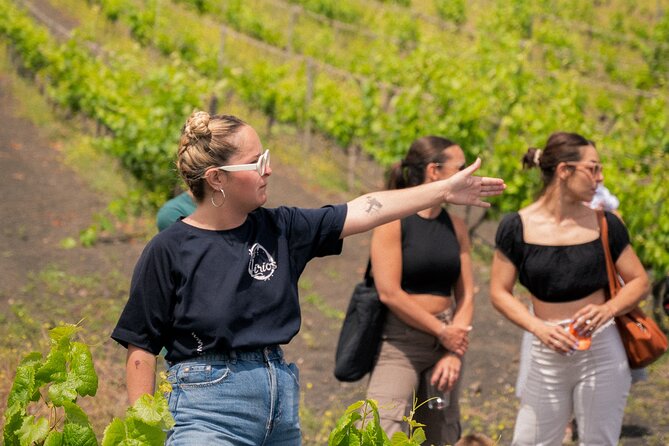 Canarian Wine Experience at Bodega los Lirios - Price and value: why 19.31 per person can make sense