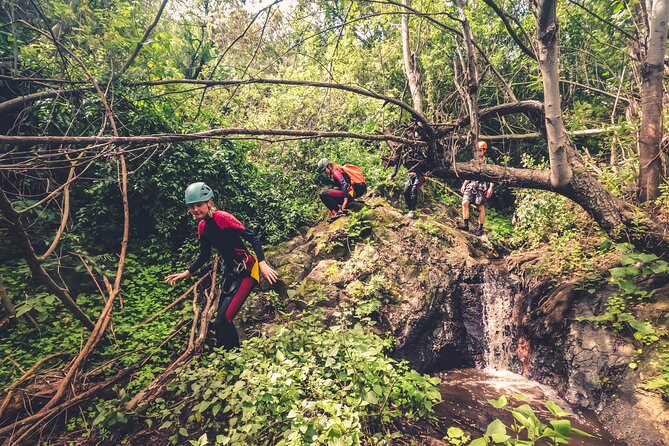 Canyoning with Waterfalls in the Rainforest - Small Groups ツ - Entering the canyon: wetsuit, helmet, harness, carabiner, and the eight