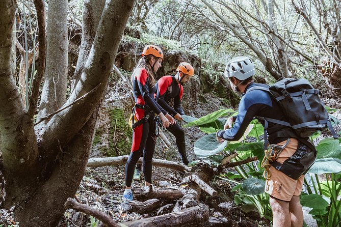 Canyoning with Waterfalls in the Rainforest - Small Groups ツ - What to pack so you stay warm, dry later, and safe all day