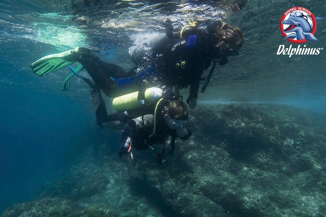 Children's PADI Diving Experience in Gran Canaria - The shallow underwater swim: what to expect at 2 meters