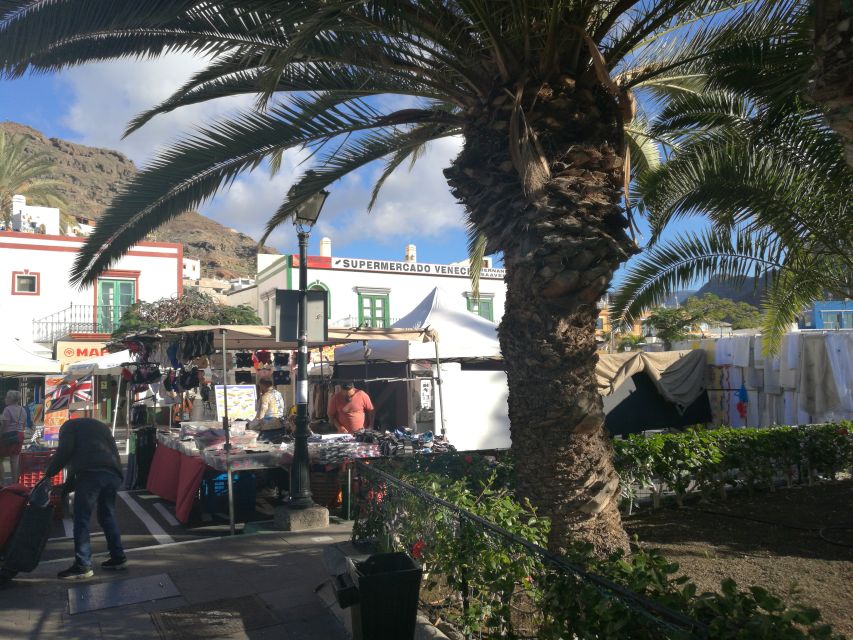 City Treasures Unveiled: 3.5-Hour Las Palmas Cab & Walking - Skip-the-line entry, accessibility, and why the private format helps