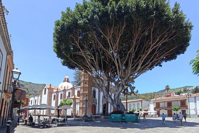 Discover Gran Canaria: Private Tour Iconic Villages and Picnic - What the best guiding looks like on windy roads