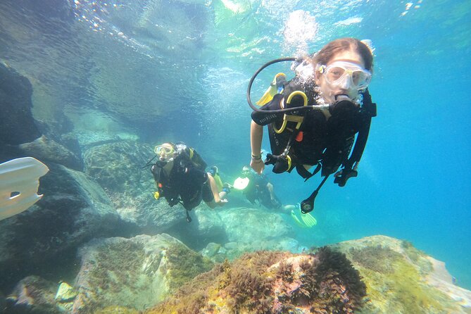 Discover Scuba Dive in Gran Canaria - Why a half-day scuba try makes sense in Gran Canaria