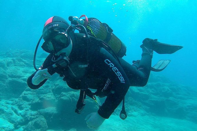 Discover Scuba diving in Gran Canaria with Hotel Pick-up - Amadores Bay: A Short Transfer and a Good Place for First Timers
