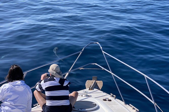 Dolphin Searching Tour in Puerto de Mogán ("KEEPER UNO" Boat) - Sea sickness and comfort tips that actually help
