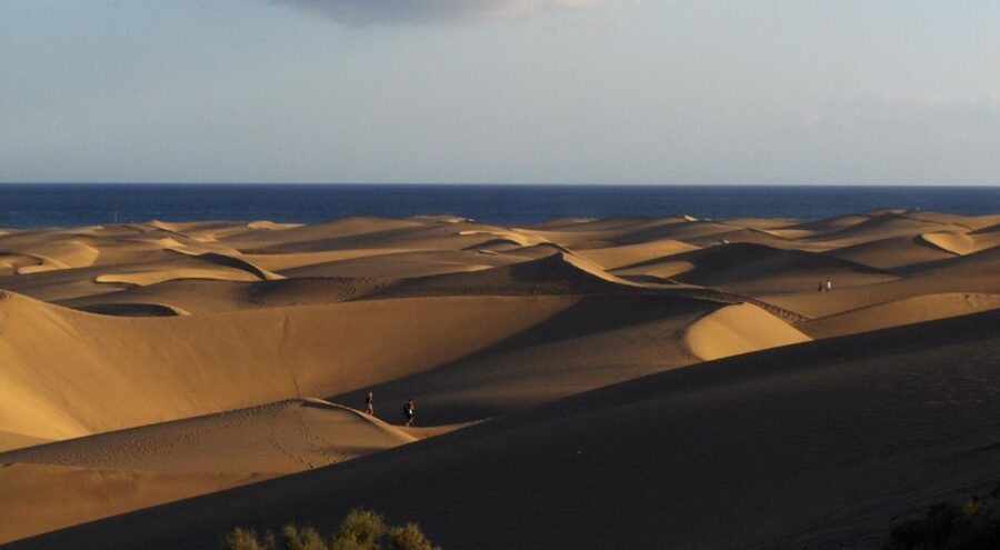 E-Bike City Tour included Camel Tour inside Maspalomas Dunes - Starting in Playa del Ingles, the easy way to begin