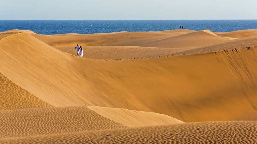 E-Bike City Tour included Camel Tour inside Maspalomas Dunes - Who the guide is matters, and it shows