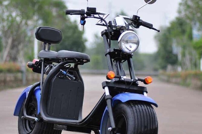 e-Scooter CitySightseeing : Best Maspalomas Dunes View Points - Asphalt-Only Routing: The Safety Choice You Should Know Before Booking