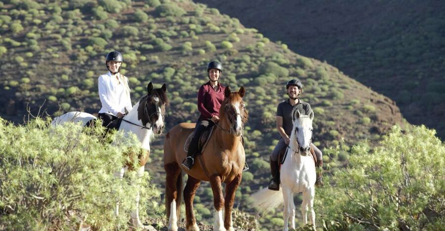 El Salobre: Horse Riding Adventure with Transfer Options - Key points to know before you go