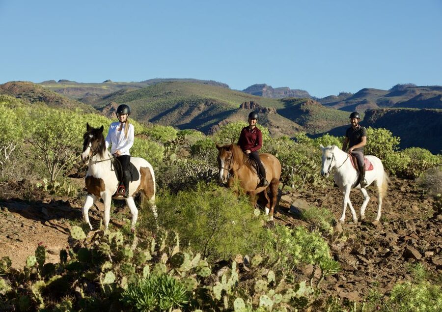 El Salobre: Horse Riding Adventure with Transfer Options - Volcano country, from the saddle, not the bus