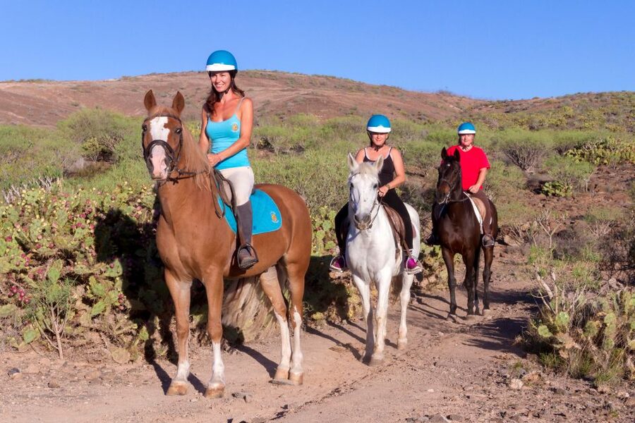 El Salobre: Horse Riding Adventure with Transfer Options - The ranch start: helmets, basics, and horse matching that feels intentional