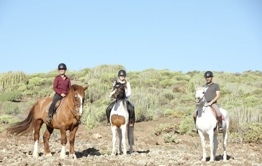El Salobre: Horse Riding Adventure with Transfer Options - Small but meaningful details that improve the ride