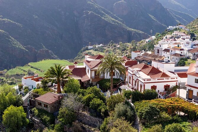 Excursion to the center of the island Gran Canaria - Pico de las Nieves: the island’s highest viewpoint for true big-sky moments