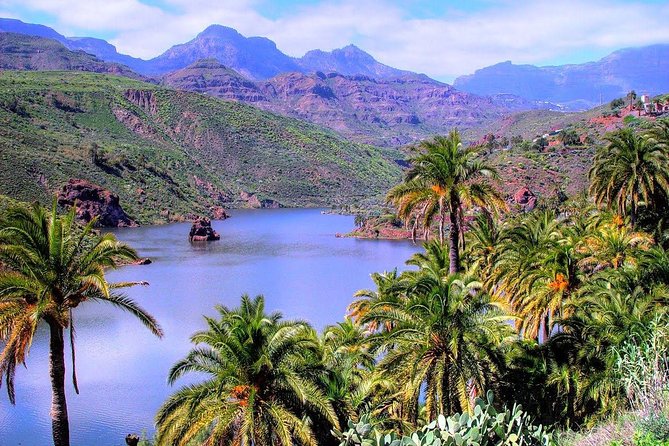 Firgas, Tejeda, Guayadeque - VIP Tour Gran Canaria - Fataga aloe vera plantation: tasting, then the shop reality