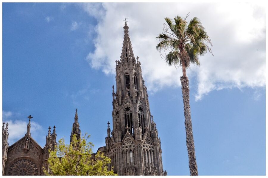 From Las Palmas: Full-Day Tour of the North - Key Highlights You Should Know