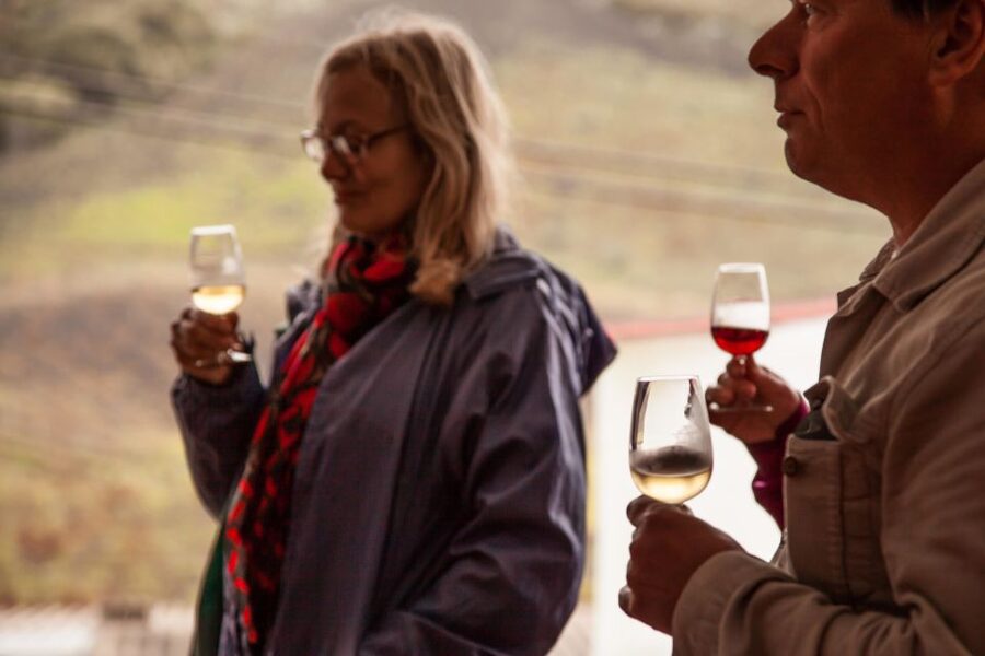 From Las Palmas: Full-Day Tour of the North - Agaete Coffee at the Berrazales Valley: A Taste Stop with Real Identity