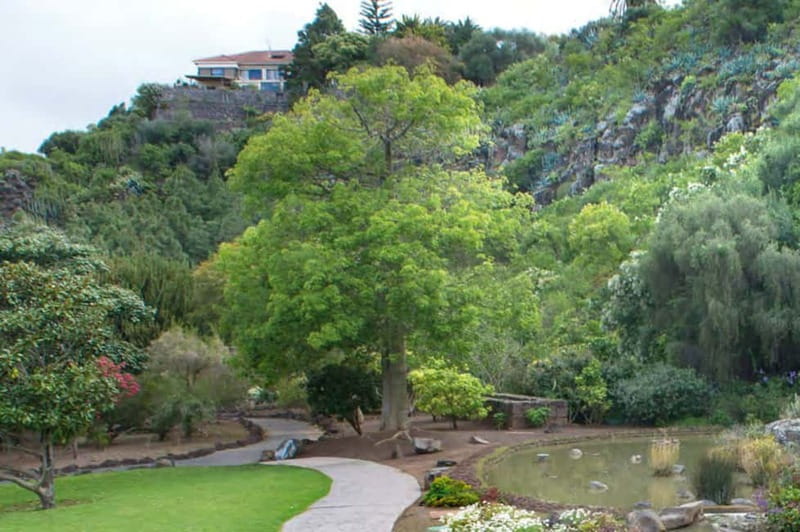 From Las Palmas: Half day tour Volcano Bandama & Vineyard - Botanical Garden to Bandama to Vineyard: The Core Idea
