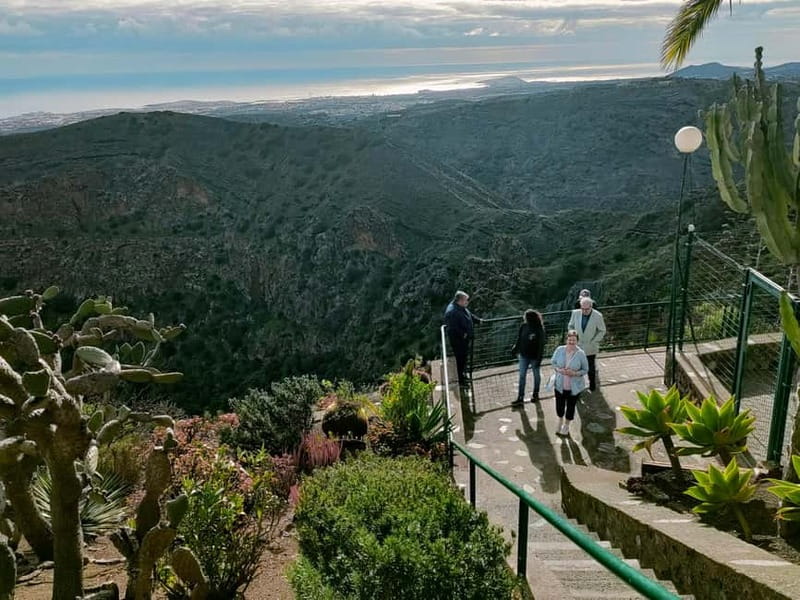From Las Palmas: Half day tour Volcano Bandama & Vineyard - Key Points Worth Noting