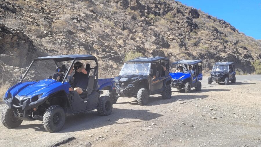 From Maspalomas: Volcanic Landscapes 4-Seater Buggy Tour - How the guide experience comes across in day-to-day terms