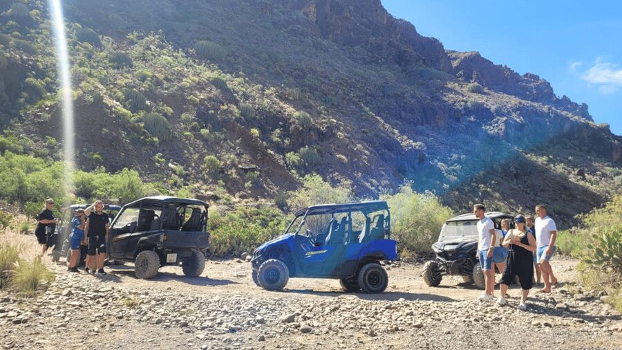 From Maspalomas: Volcanic Landscapes 4-Seater Buggy Tour - Off-road driving realities: rocks, sand, and sharing the route