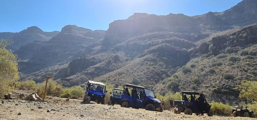 From Maspalomas: Volcanic Landscapes 4-Seater Buggy Tour - Price and value: $177 per group up to 2