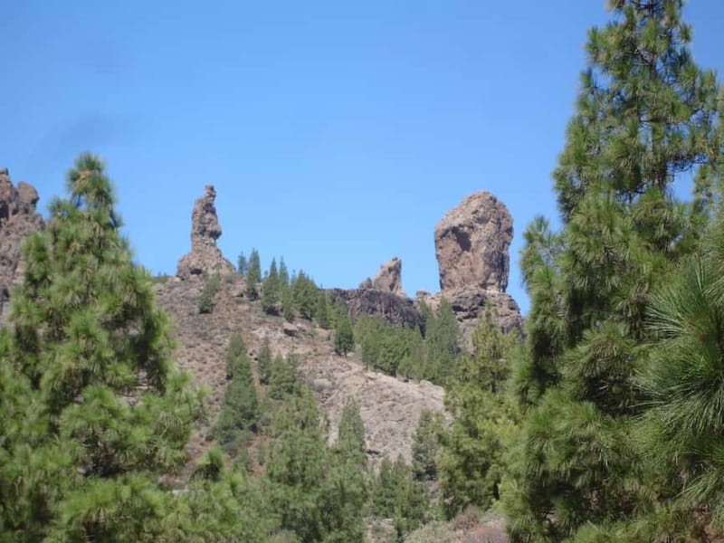 From Palmas: Pico de las Nieves & Roque Nublo Full-Day Trip - Bandama volcano crater: the first big view stop