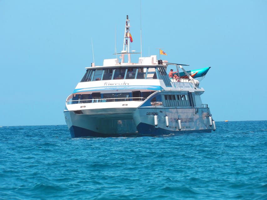 From Puerto Rico: Boat trip along the coast w/ Food & Drinks - Wildlife sightings: dolphins, turtles, flying fish, and the reality check