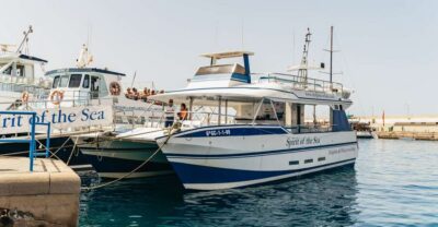 Dolphin Watching Cruise