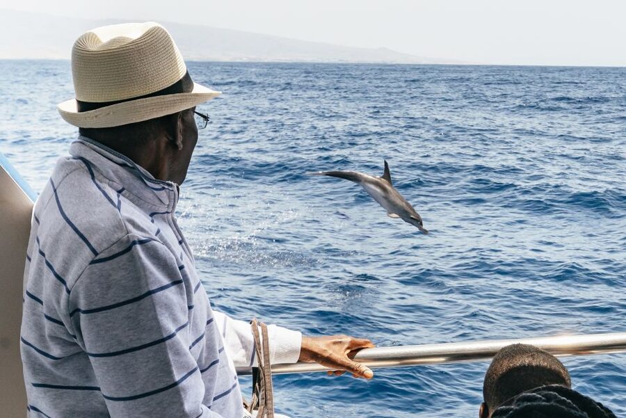 From Puerto Rico de Gran Canaria: Dolphin Watching Cruise - Crew guidance: why it makes the difference
