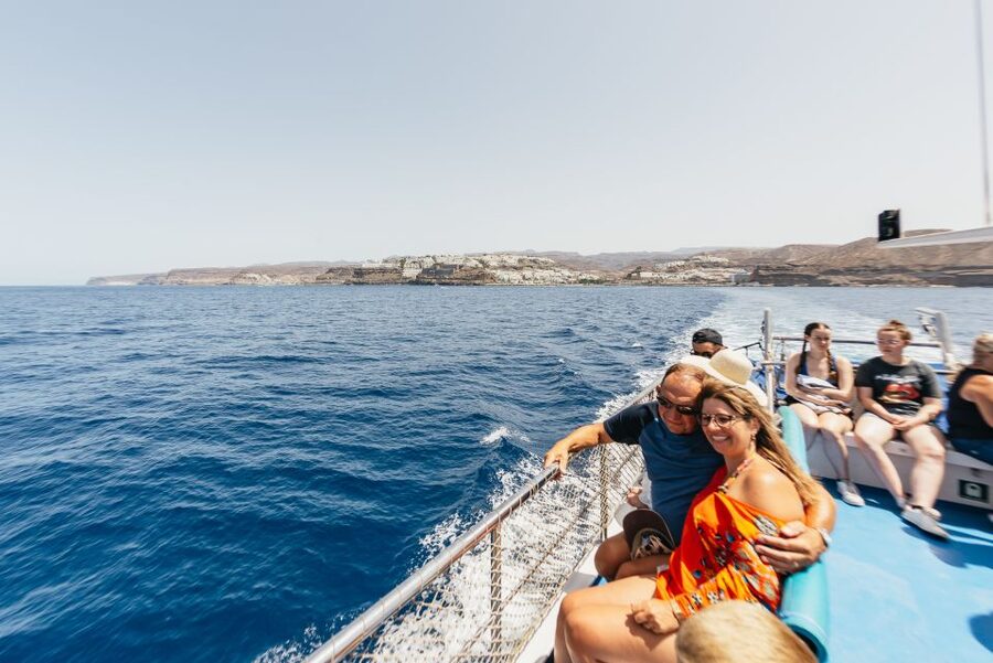 From Puerto Rico de Gran Canaria: Dolphin Watching Cruise - What you might see besides dolphins