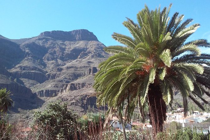 Full Day Across the Island Tour from Las Palmas - Pico de las Nieves and Roque Nublo, Roque Bentayga