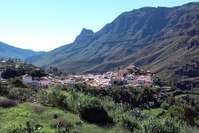 Full Day Across the Island Tour from Las Palmas - Fataga’s Palm Canyon: Where Lunch Time Feels Like a Breather