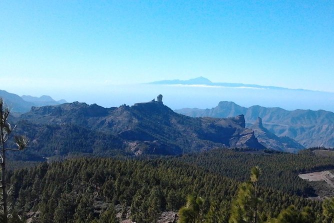 Full Day Across the Island Tour from Las Palmas - Maspalomas Dunes at Charco de Maspalomas: Desert Time on a Coastal Edge
