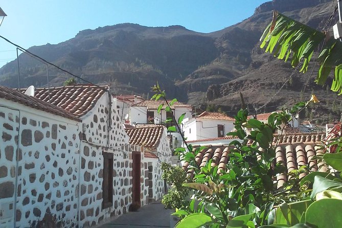 Full Day Across the Island Tour from Las Palmas - Transport and Timing: Small Group Comfort With Real Mountain Roads
