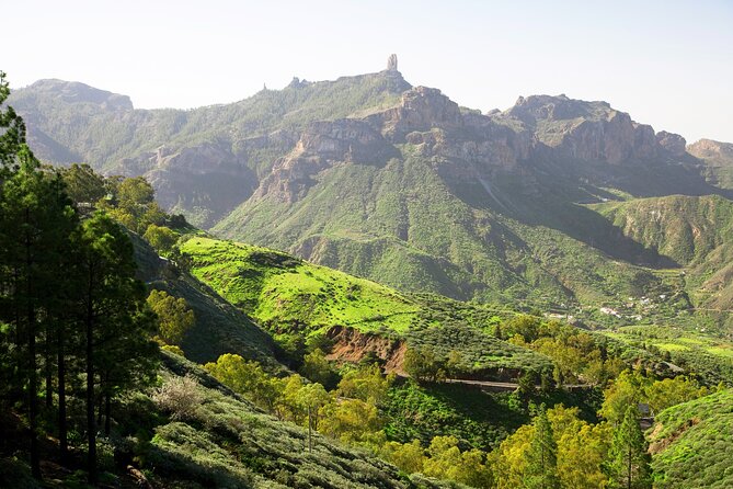 Full-Day Gran Canaria Tour with Teror, Tejeda and Lunch in Fataga - Mirador de las Tirajanas, Roque Nublo, and the quick photo break