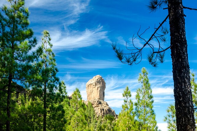 Full-Day Gran Canaria Tour with Teror, Tejeda and Lunch in Fataga - Guides and drivers: the difference between “transport” and “a day with meaning”