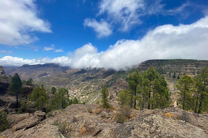 Full-Day Gran Canaria Tour with Teror, Tejeda and Lunch in Fataga - Comfort and pacing: how to handle the fast schedule in real heat