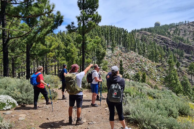 Full day Hiking Gran Canaria Peaks of Gran Canaria - Key highlights you’ll feel right away
