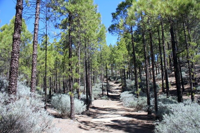 Full day Hiking Gran Canaria Peaks of Gran Canaria - The mountains near Pico de las Nieves, with views that feel earned