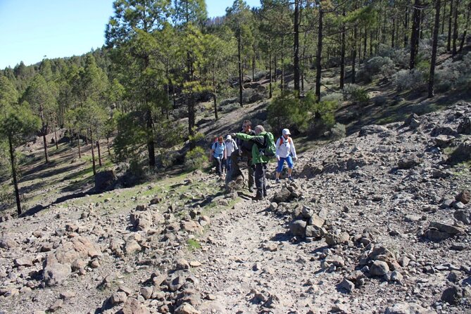 Full day Hiking Gran Canaria Peaks of Gran Canaria - Best seasons for this hike: heat in summer, rain risk in winter